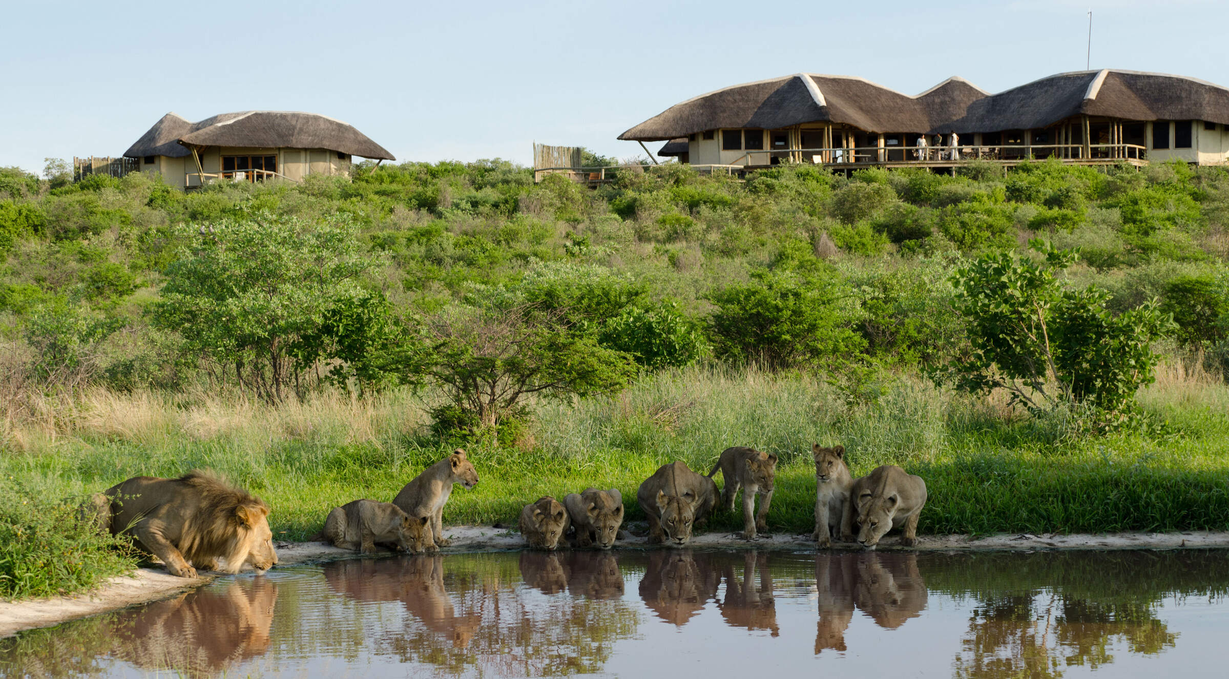 Is a Botswana safari holiday worth this year